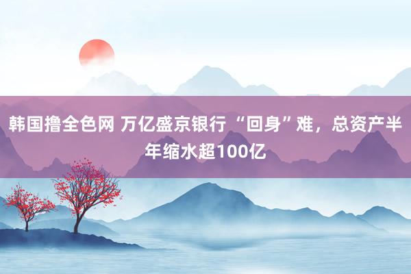 韩国撸全色网 万亿盛京银行 “回身”难，总资产半年缩水超100亿