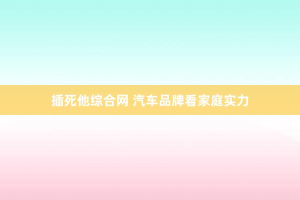 插死他综合网 汽车品牌看家庭实力