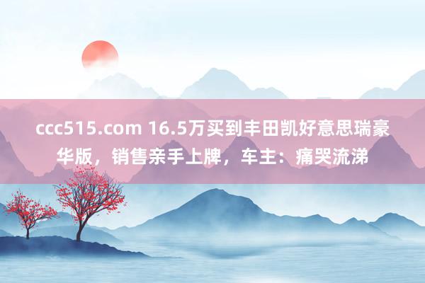 ccc515.com 16.5万买到丰田凯好意思瑞豪华版，销售亲手上牌，车主：痛哭流涕