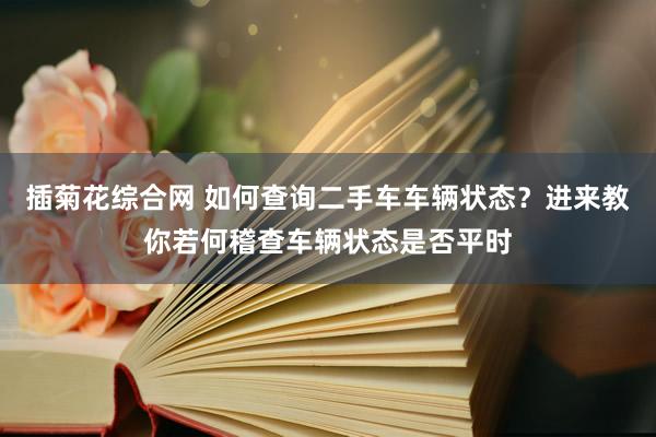 插菊花综合网 如何查询二手车车辆状态？进来教你若何稽查车辆状态是否平时