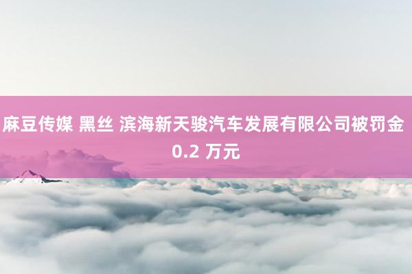 麻豆传媒 黑丝 滨海新天骏汽车发展有限公司被罚金 0.2 万元