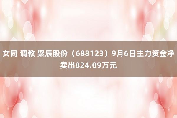 女同 调教 聚辰股份（688123）9月6日主力资金净卖出824.09万元