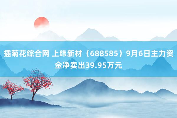 插菊花综合网 上纬新材（688585）9月6日主力资金净卖出39.95万元