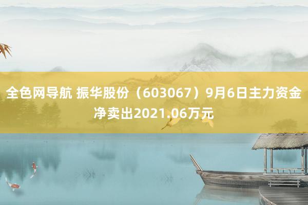 全色网导航 振华股份（603067）9月6日主力资金净卖出2021.06万元