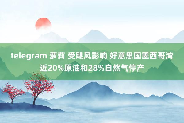 telegram 萝莉 受飓风影响 好意思国墨西哥湾近20%原油和28%自然气停产