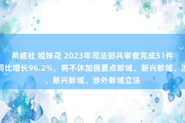 希威社 姐妹花 2023年司法部共审查完成51件立法技俩，同比增长96.2%，将不休加强要点畛域、新兴畛域、涉外畛域立法