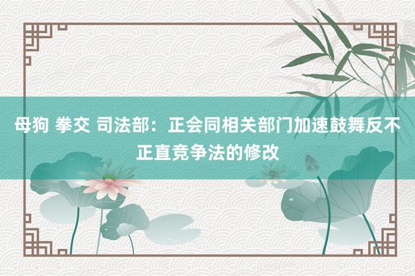 母狗 拳交 司法部：正会同相关部门加速鼓舞反不正直竞争法的修改