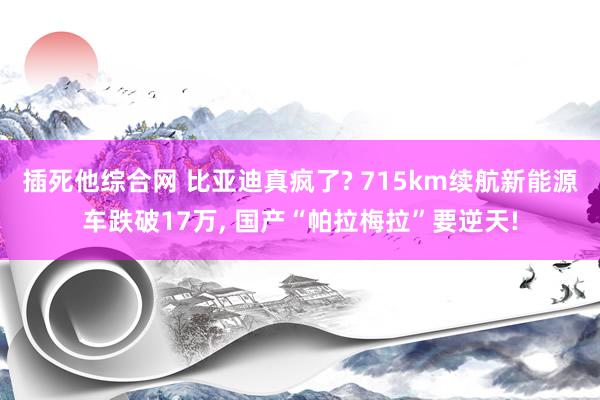 插死他综合网 比亚迪真疯了? 715km续航新能源车跌破17万， 国产“帕拉梅拉”要逆天!