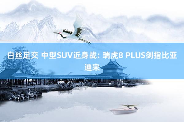 白丝足交 中型SUV近身战: 瑞虎8 PLUS剑指比亚迪宋