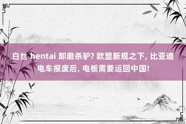 白丝 hentai 卸磨杀驴? 欧盟新规之下， 比亚迪电车报废后， 电板需要运回中国!