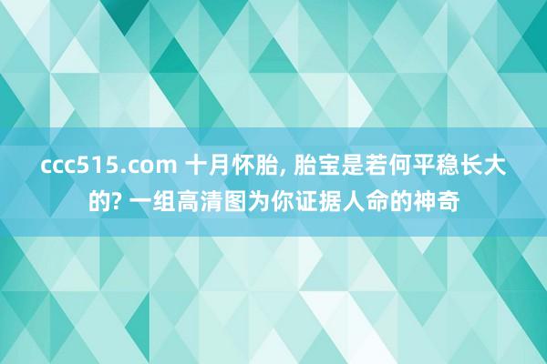 ccc515.com 十月怀胎， 胎宝是若何平稳长大的? 一组高清图为你证据人命的神奇