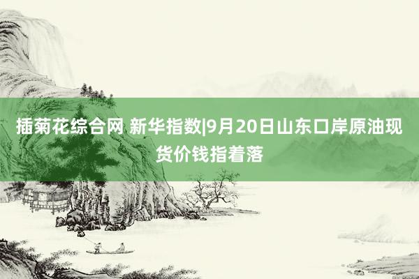 插菊花综合网 新华指数|9月20日山东口岸原油现货价钱指着落