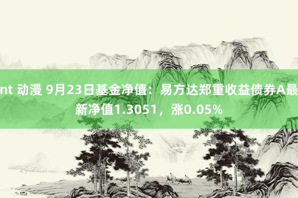 nt 动漫 9月23日基金净值：易方达郑重收益债券A最新净值1.3051，涨0.05%