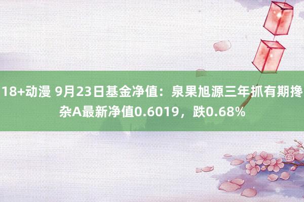 18+动漫 9月23日基金净值：泉果旭源三年抓有期搀杂A最新净值0.6019，跌0.68%