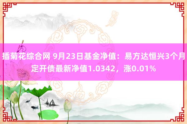 插菊花综合网 9月23日基金净值：易方达恒兴3个月定开债最新净值1.0342，涨0.01%