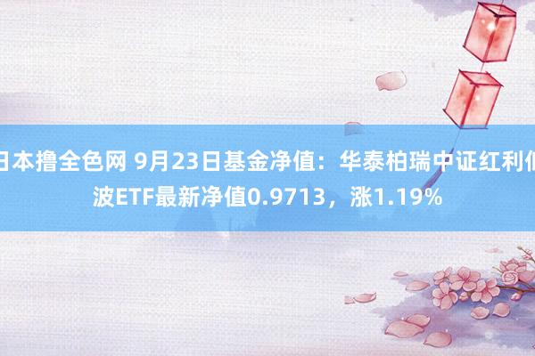 日本撸全色网 9月23日基金净值：华泰柏瑞中证红利低波ETF最新净值0.9713，涨1.19%