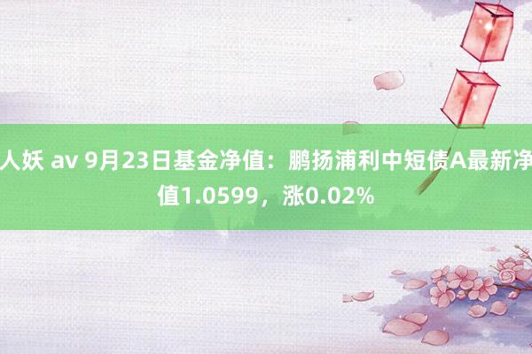 人妖 av 9月23日基金净值：鹏扬浦利中短债A最新净值1.0599，涨0.02%