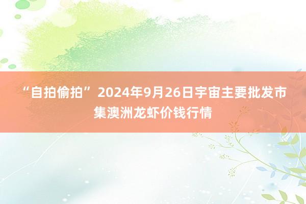 “自拍偷拍” 2024年9月26日宇宙主要批发市集澳洲龙虾价钱行情