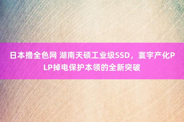 日本撸全色网 湖南天硕工业级SSD，寰宇产化PLP掉电保护本领的全新突破