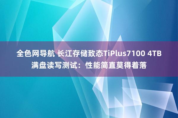 全色网导航 长江存储致态TiPlus7100 4TB满盘读写测试：性能简直莫得着落