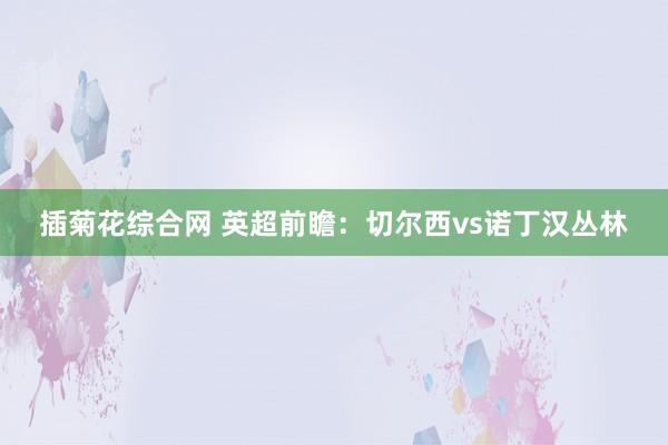 插菊花综合网 英超前瞻：切尔西vs诺丁汉丛林