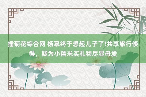 插菊花综合网 杨幂终于想起儿子了!共享旅行倏得，疑为小糯米买礼物尽显母爱