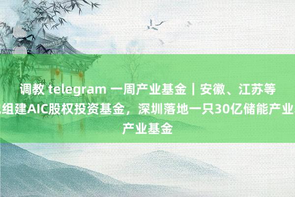 调教 telegram 一周产业基金｜安徽、江苏等多地组建AIC股权投资基金，深圳落地一只30亿储能产业基金