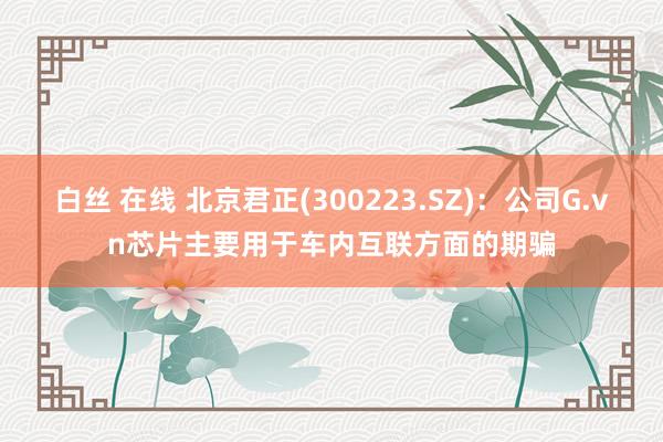 白丝 在线 北京君正(300223.SZ)：公司G.vn芯片主要用于车内互联方面的期骗