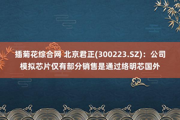 插菊花综合网 北京君正(300223.SZ)：公司模拟芯片仅有部分销售是通过络明芯国外