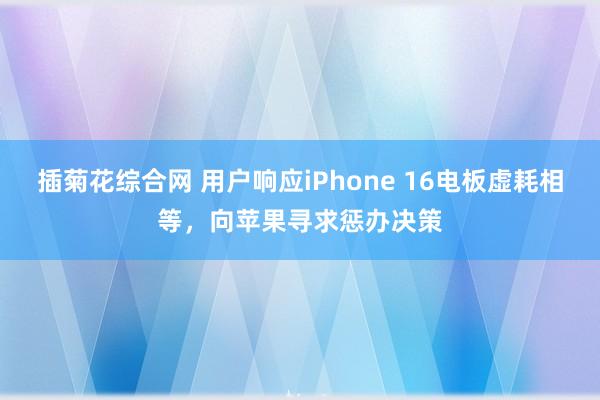 插菊花综合网 用户响应iPhone 16电板虚耗相等，向苹果寻求惩办决策