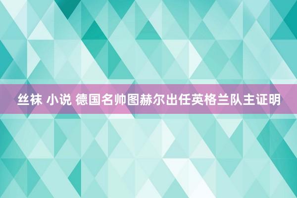 丝袜 小说 德国名帅图赫尔出任英格兰队主证明