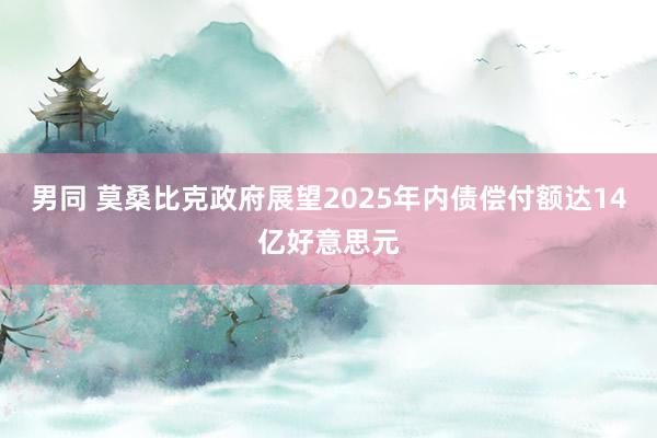 男同 莫桑比克政府展望2025年内债偿付额达14亿好意思元