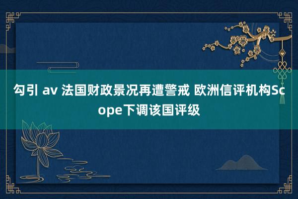 勾引 av 法国财政景况再遭警戒 欧洲信评机构Scope下调该国评级