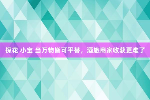 探花 小宝 当万物皆可平替，酒旅商家收获更难了