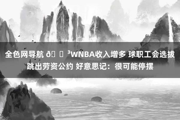 全色网导航 😳WNBA收入增多 球职工会选拔跳出劳资公约 好意思记：很可能停摆