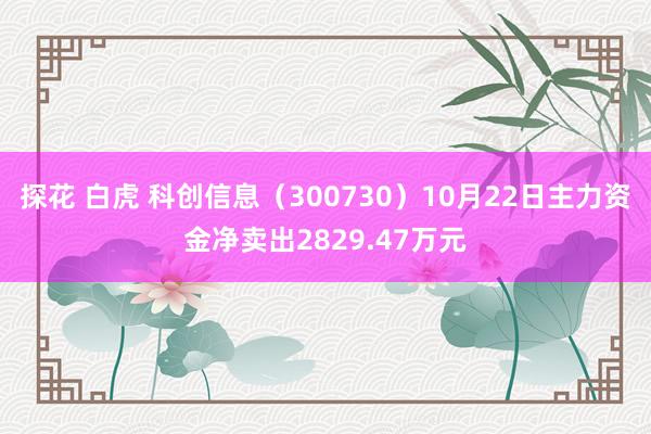 探花 白虎 科创信息（300730）10月22日主力资金净卖出2829.47万元