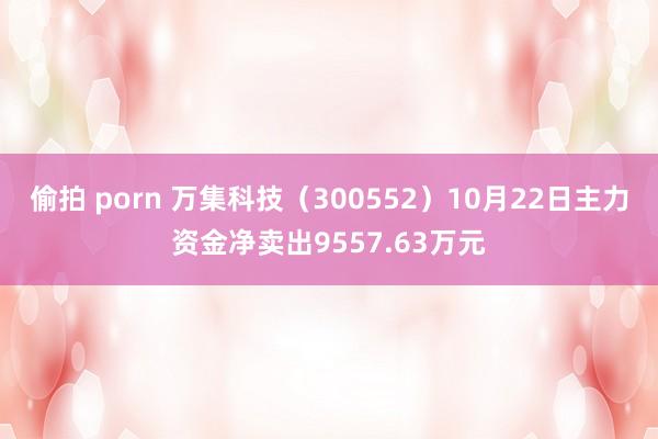 偷拍 porn 万集科技（300552）10月22日主力资金净卖出9557.63万元