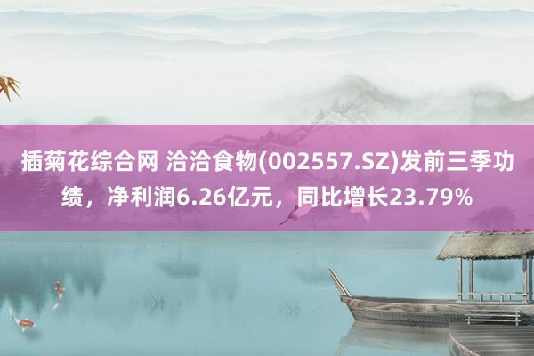 插菊花综合网 洽洽食物(002557.SZ)发前三季功绩，净利润6.26亿元，同比增长23.79%