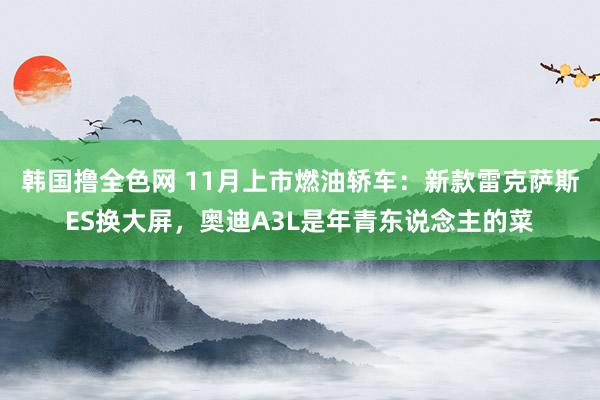 韩国撸全色网 11月上市燃油轿车：新款雷克萨斯ES换大屏，奥迪A3L是年青东说念主的菜