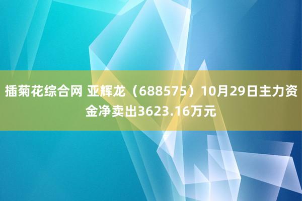 插菊花综合网 亚辉龙（688575）10月29日主力资金净卖出3623.16万元