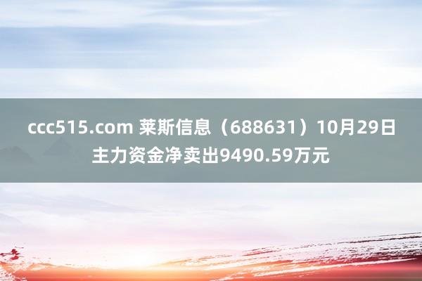 ccc515.com 莱斯信息（688631）10月29日主力资金净卖出9490.59万元