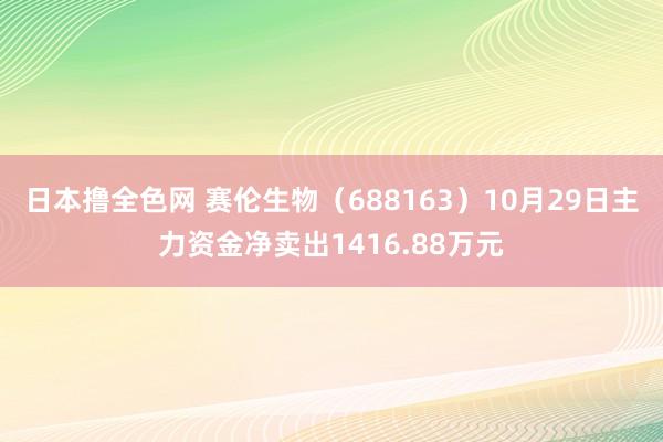 日本撸全色网 赛伦生物（688163）10月29日主力资金净卖出1416.88万元