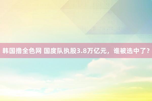 韩国撸全色网 国度队执股3.8万亿元，谁被选中了？