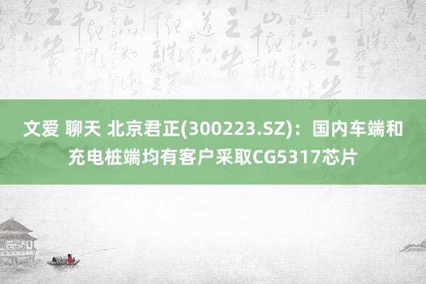 文爱 聊天 北京君正(300223.SZ)：国内车端和充电桩端均有客户采取CG5317芯片