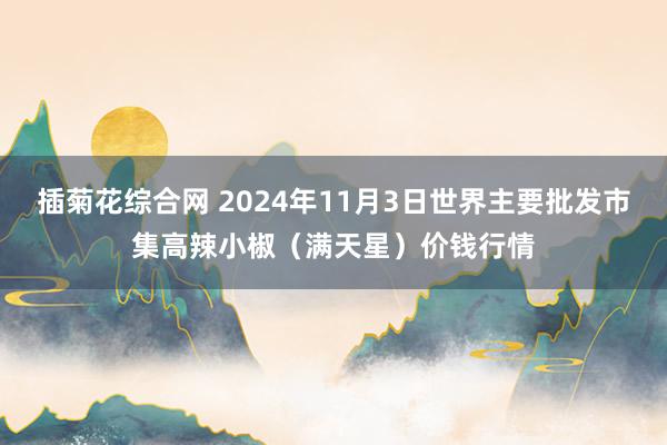 插菊花综合网 2024年11月3日世界主要批发市集高辣小椒（满天星）价钱行情