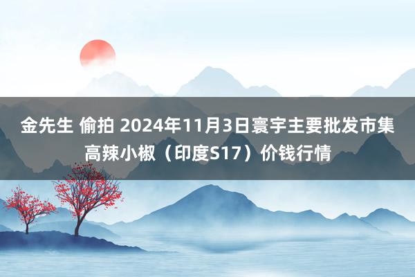 金先生 偷拍 2024年11月3日寰宇主要批发市集高辣小椒（印度S17）价钱行情