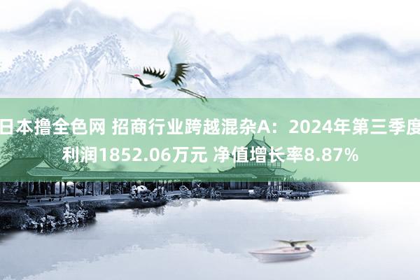 日本撸全色网 招商行业跨越混杂A：2024年第三季度利润1852.06万元 净值增长率8.87%