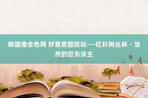 韩国撸全色网 好意思图抚玩——红杉树丛林 - 当然的巨东谈主