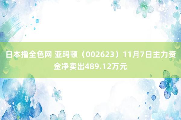 日本撸全色网 亚玛顿（002623）11月7日主力资金净卖出489.12万元