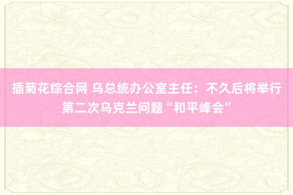 插菊花综合网 乌总统办公室主任：不久后将举行第二次乌克兰问题“和平峰会”